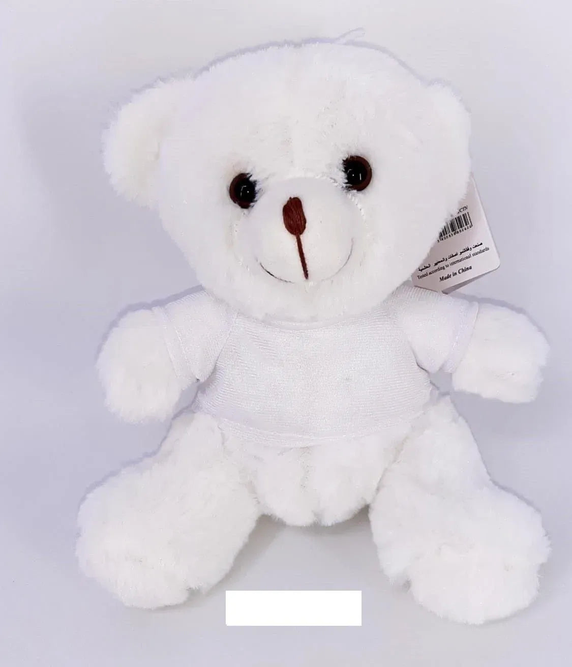 Teddy Bear in Shirt
