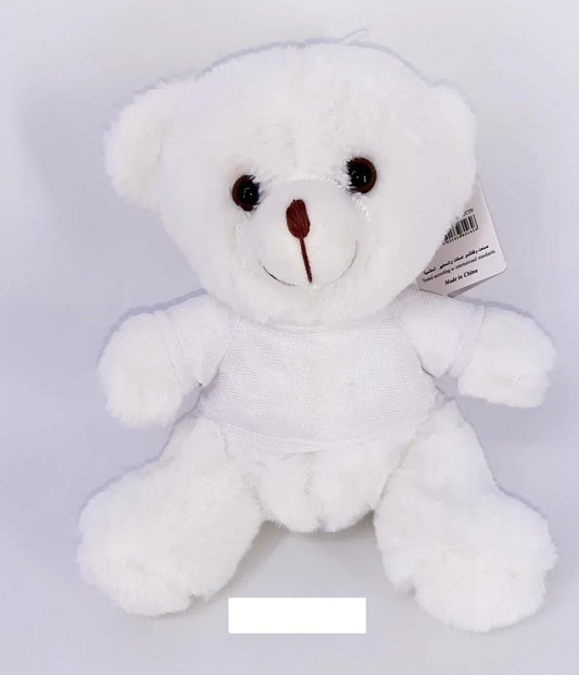 Teddy Bear in Shirt