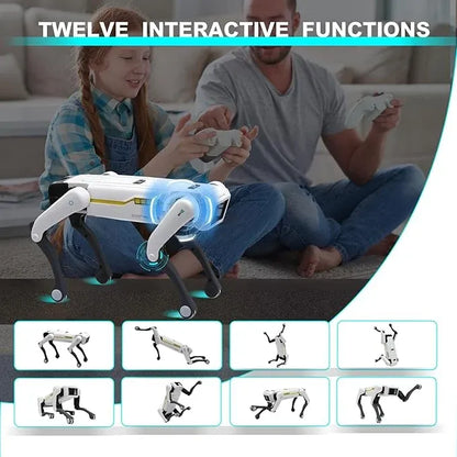Smart Dog Multifunctional Toy © Ⓢ